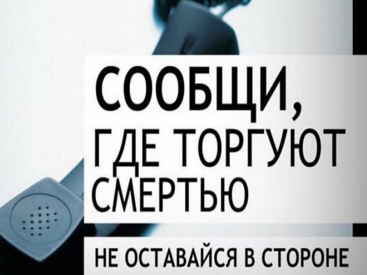 В Черкесске стартовал первый этап общероссийской акции «Сообщи, где торгуют  смертью» » Официальный портал мэрии города Черкесска